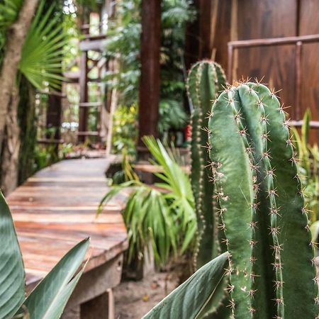 Origen Tulum Otel Dış mekan fotoğraf