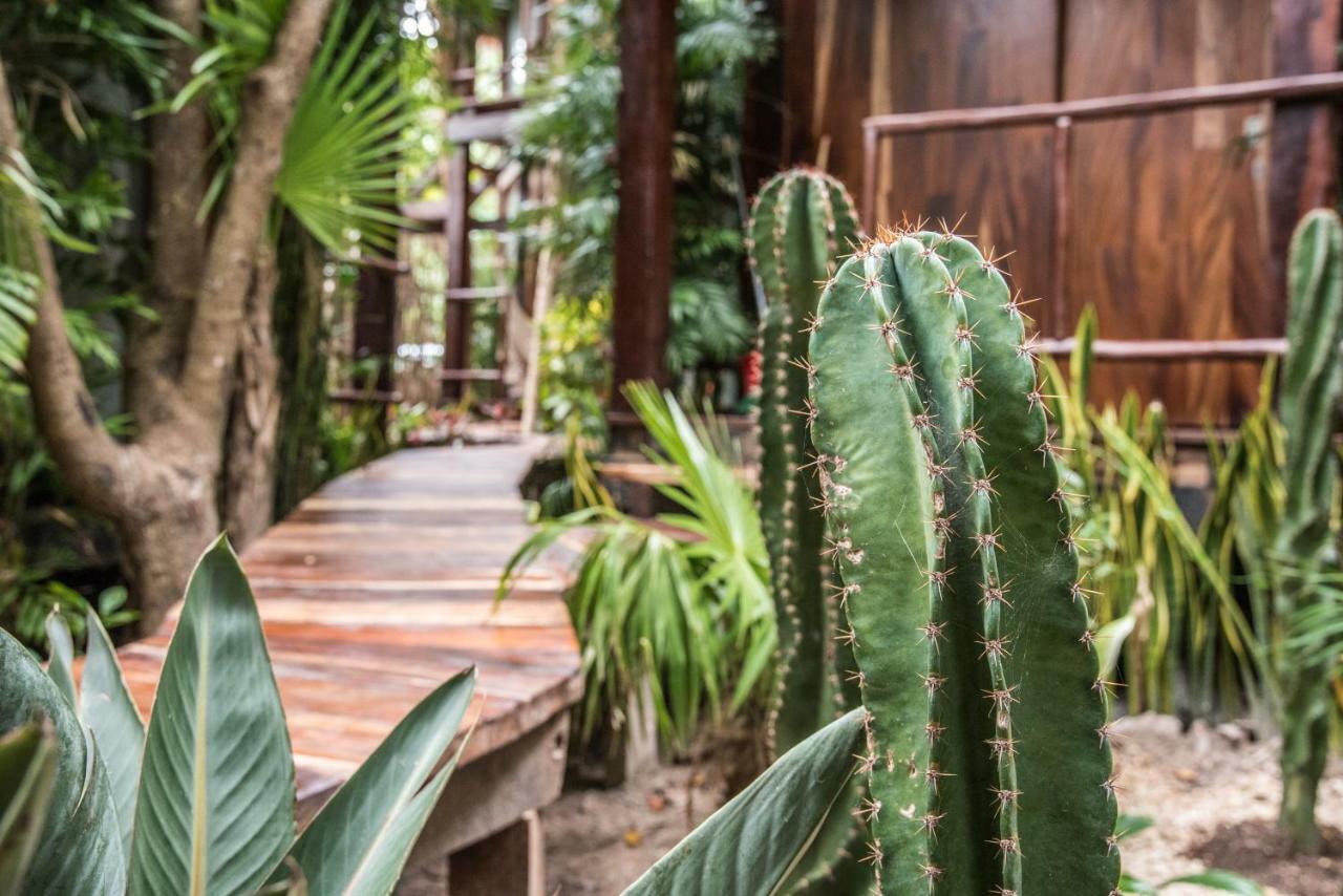 Origen Tulum Otel Dış mekan fotoğraf